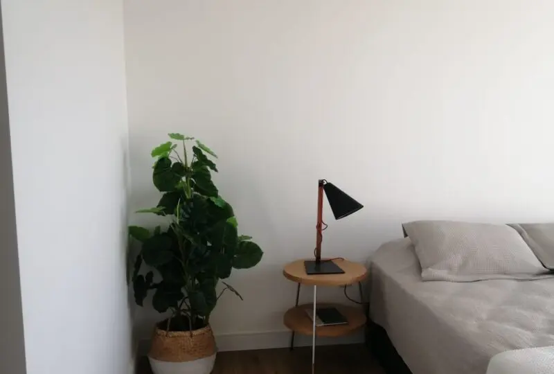 Vivero de interior en dormitorio moderno con lámpara de lectura y planta decorativa, estilo minimalista, iluminación natural, ambiente acogedor.