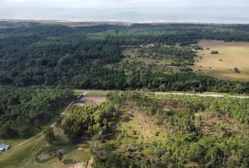 Amplia parcela de terreno con extensas zonas verdes y forestales para desarrollo inmobiliario o inversión rural en una ubicación estratégica cerca de la naturaleza.