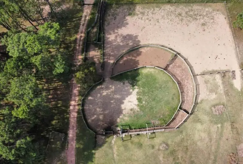 Amplia vista aérea de un área de recreo al aire libre con instalaciones para deportes y eventos en un entorno natural rodeado de árboles verdes.