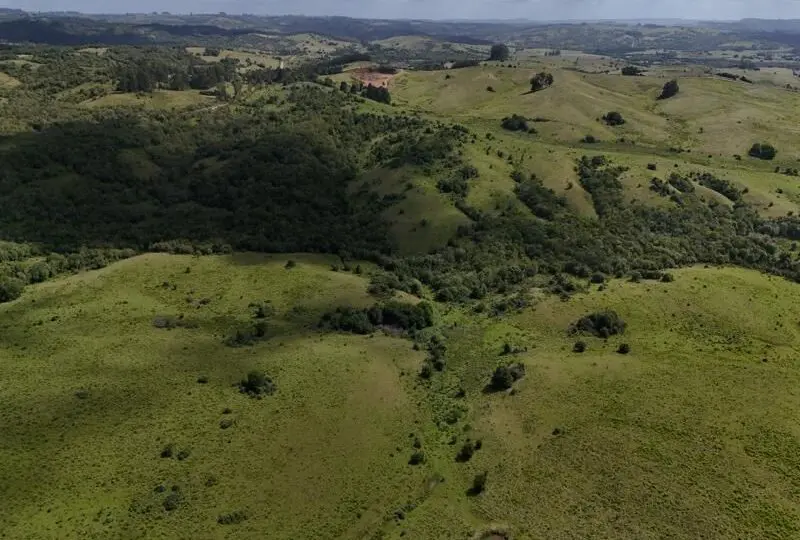 Campos verdes y ondulados en una finca rural en venta, ideal para desarrollo inmobiliario o inversión agrícola con naturaleza y tranquilidad.
