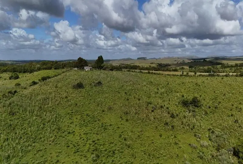 Terreno rural en venta con amplias áreas verdes y vista panorámica, ideal para desarrollo inmobiliario o agricultura, ubicado en zona tranquila y de fácil acceso.