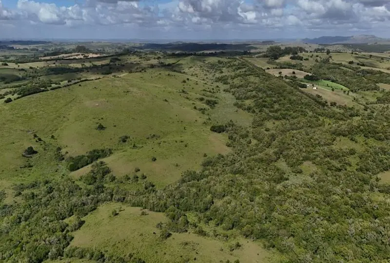 Amplia vista aérea de terrenos rurales y montañosos en venta, ideales para proyectos agrícolas o de inversión inmobilaria en un entorno natural y tranquilo.