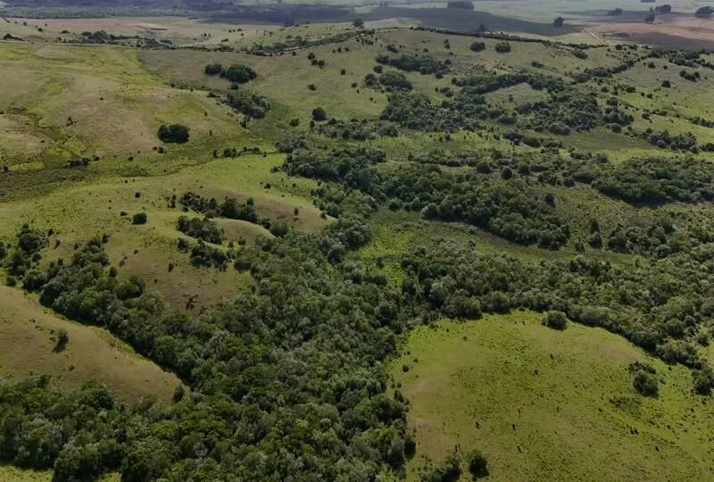 Amplia parcela de tierra rural con exuberante vegetación y espacios verdes, ideal para agricultura, ganadería o inversión inmobiliaria en zonas rurales en crecimiento.