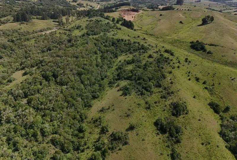 Amplia vista aérea de terrenos rurales y bosques cercanos a zonas rurales, ideal para inversión inmobiliaria o proyectos de desarrollo en un entorno natural y tranquilo.