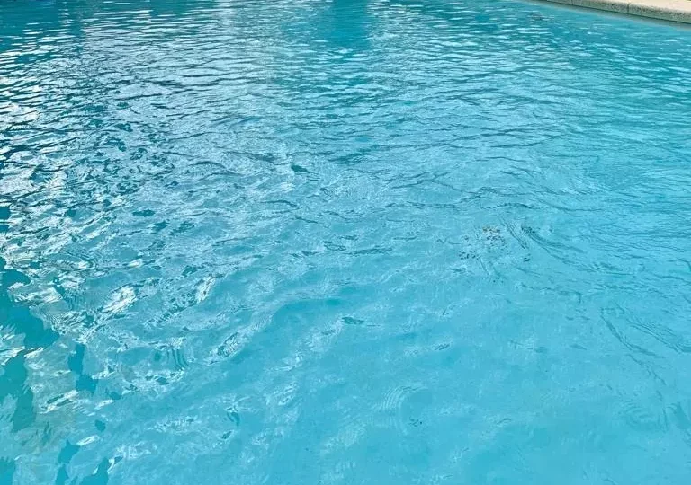 Piscina moderna con jardín y ambiente relajante en finca privada en venta - Horus Real Estate Agency.